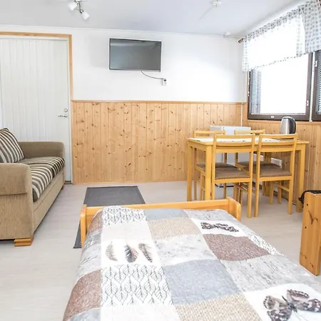 科里闲暇时光旅馆 招待所 Ahmovaara