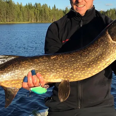 ゲストハウス Koli Freetime Ahmovaara