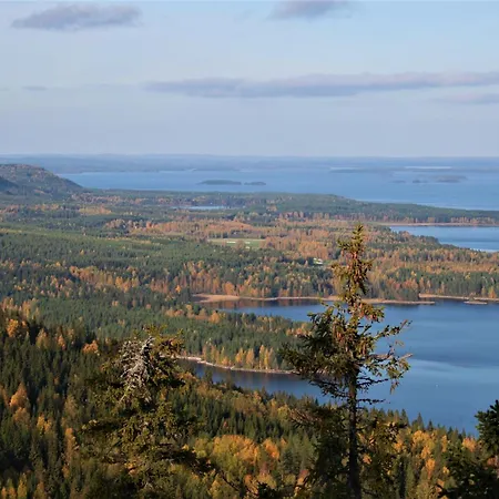 Koli Freetime 4* Ahmovaara