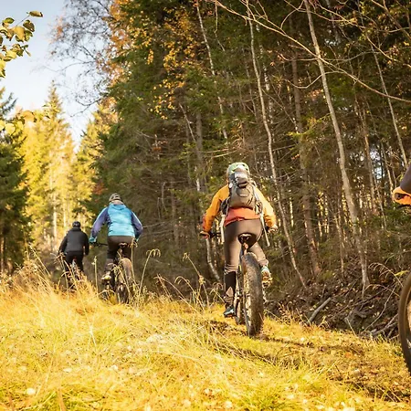 Koli Freetime ゲストハウス 4*