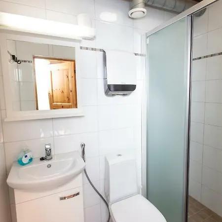 Koli Freetime ゲストハウス Ahmovaara